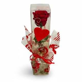 Rosa Eterna Roja,Love,Tallo corto