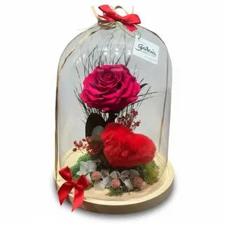 Cupula Rosa Premium