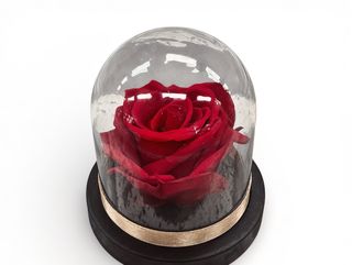 Cúpula Mini Rosa eterna
