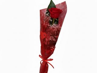 Rosa Roja San Valentín