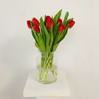 Ramo de 10 Tulipanes Rojos