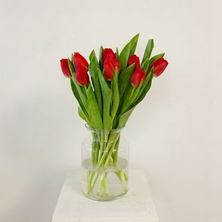 Ramo de 20 Tulipanes Rojos