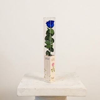 Rosa Azul Eterna Preservada