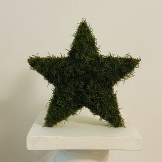 Estrella de Navidad Musgo Preservado