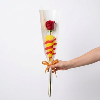 Rosa Sant Jordi Bàsic