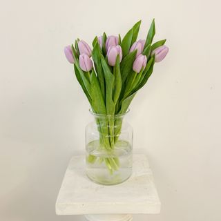 Ramo de 10 Tulipanes Morados Clarito