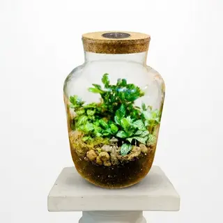 Terrario Artesanal