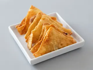 WONTON FRITOS DE TERNERA 5U