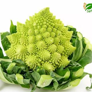 Romanesco