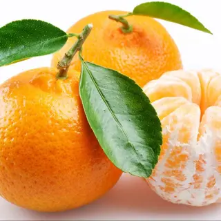Mandarina Esparragal. (Jiménez)