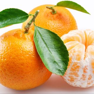 Mandarina Esparragal. (Jiménez)