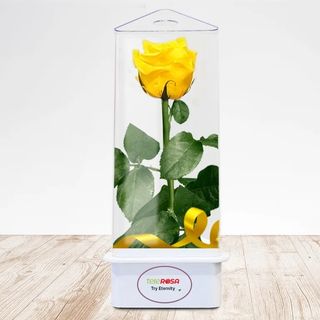 Rosa Preservada Amarilla (ETERNA)