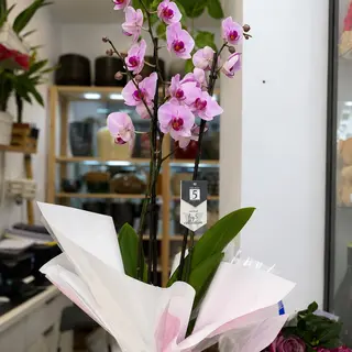 Orquídeas y Rosas con Base de Cristal