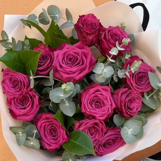 Rosa Morada ( 1 tallo )