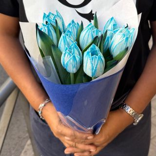 Tulipanes Azules ( 10 tallos )