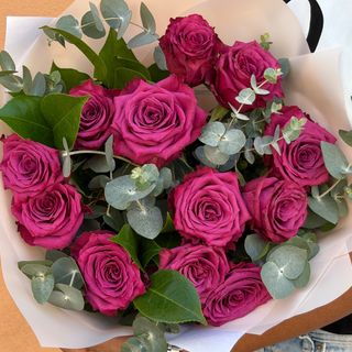 Rosa Morada ( 3 tallos