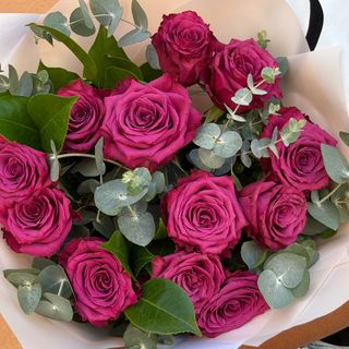 Rosas moradas ( 12 tallos )