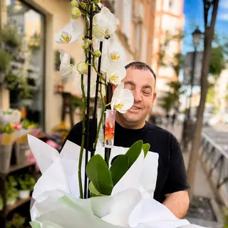 Orquídea Blanca Con Base de Cristal