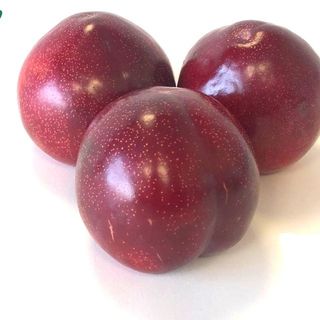 Ciruela Angeleno (1 Kg Aprox)