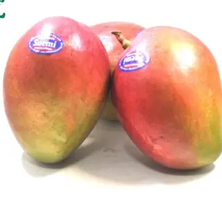 Mango Importacion (1 Kg Aprox)