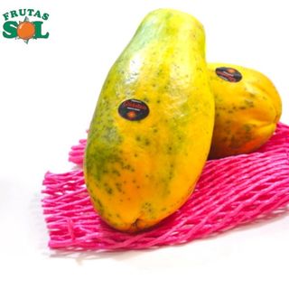 Papaya Pieza (1,200 kg. Aprox)