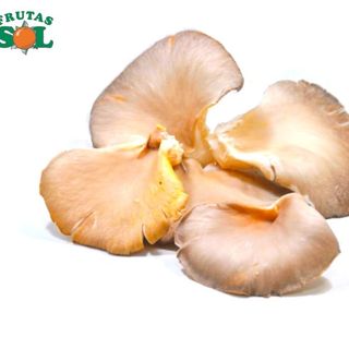 Setas (1 Kg. Aprox.)