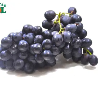 Uva Negra Ex (1 Kg Aprox)