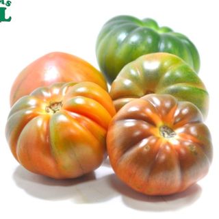 Tomate Raff (1 Kg Aprox)