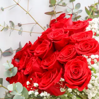 Ramo de 20 rosas rojas · Montserrat