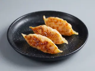 Gyoza De Pato (5 Uds.)