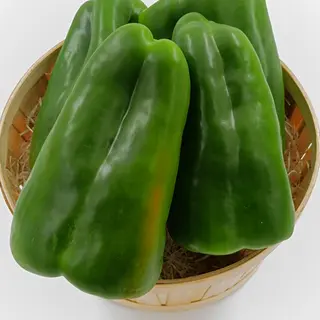 Pimiento Verde unidad (Aprox. 450 Gr.)