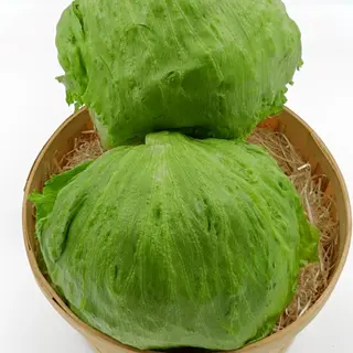 Lechuga Iceberg Unidad