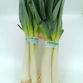 Puerro Manojo 3 ud. (Aprox. 700 Gr.)