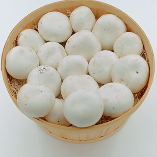 Champiñon Entero (Aprox 500 Gr.)