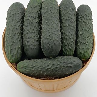 Pepino (Aprox. 500 Gr.)