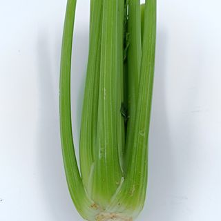 Apio (Aprox. 500 Kg.)