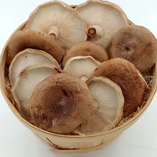 Seta Shitake (Aprox. 500 gr)