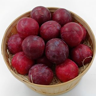 CIRUELA NEGRA (600 gr aprox.)