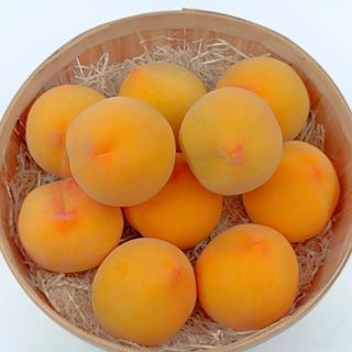 MELOCOTÓN AMARILLO PEQUEÑO (1 kg aprox.) ORIGEN CALANDA