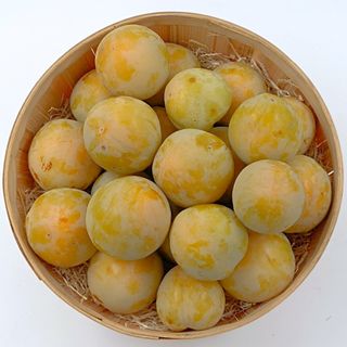 CIRUELA AMARILLA EXTRA (660 gr aprox.)