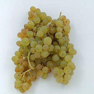 UVA ALBILLO DE TEMPORADA (500 gr)