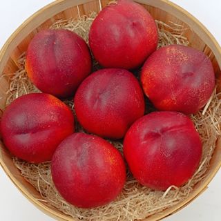 NECTARINA CARNE AMARILLA (1.1 KG APROXIMADAMENTE)