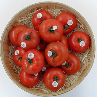 TOMATE UMAMI (aprox. 500 gr)