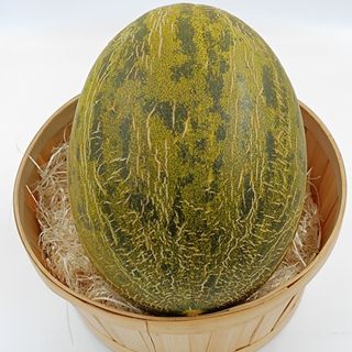 MELÓN EXTRA (4 kg aprox.)