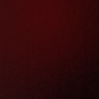 #38E Ternera con Champiñones