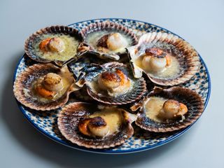 Zamburiñas a la plancha