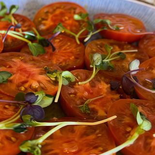 Tomate Raf Ambrosia