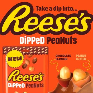 REESE'S DIPPED PEANUTS 90G