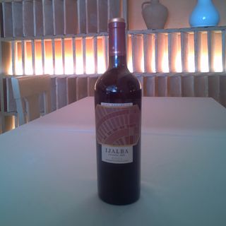 Vino Viña Ijalba (750 Ml.)