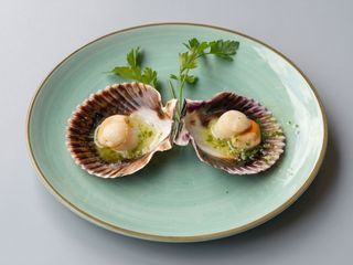 51. Zamburiñas a la Plancha (2 Uds.)